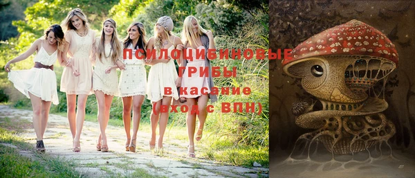 мяу мяу мука Каменск-Шахтинский
