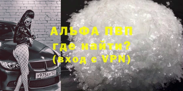 гидра Карпинск