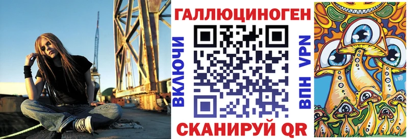 Купить закладки  Дятьково  Псилоцибиновые грибы Cubensis 